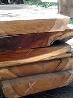 Wide Wood Slabs Bali Indonesia