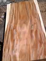 Wide Wood Slabs Bali Indonesia Bali Indonesia