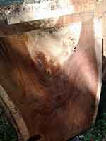 Wood Countertops Bali 