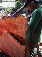 Big Wood Slabs Factory in Indonesia