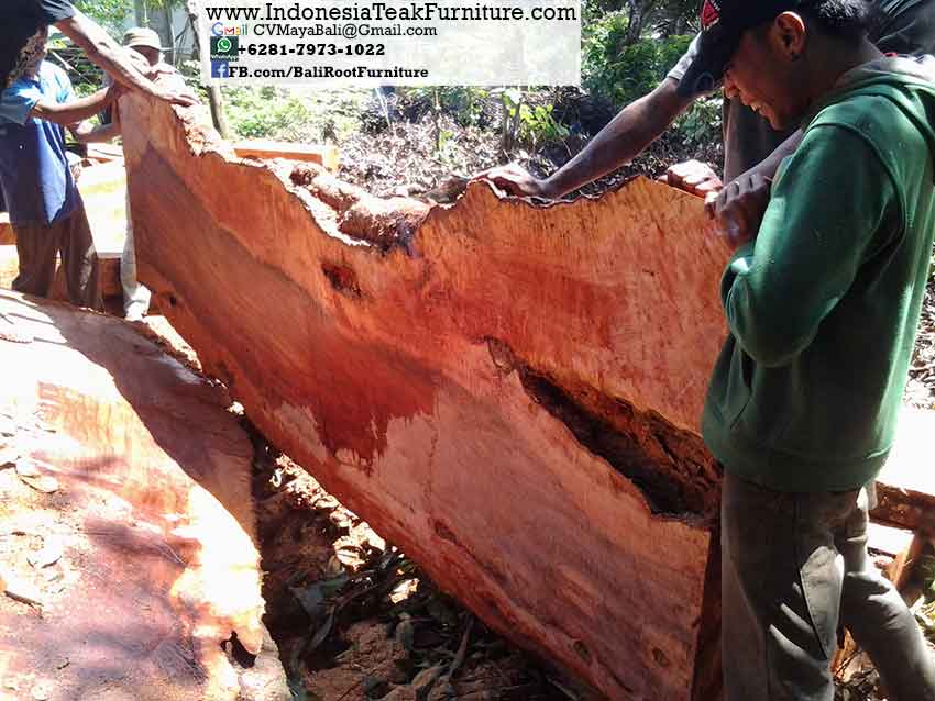 Big Table Factory 19 Wood Slabs Factory Bali 