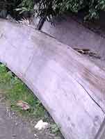 Big Wood Slabs Hardwood Lumber Countertops Bali Indonesia